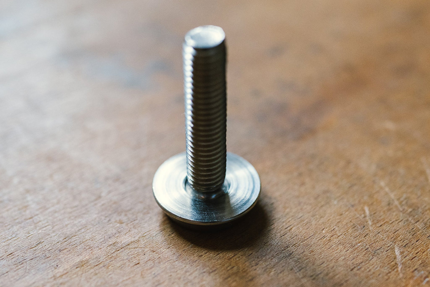 Screw Converter Countersunk Head to Flat Head - shopwingfoil.com Wing Foil Shop by WINGFOILDAILYWINGFOILDAILYshopwingfoil.com Wing Foil Shop by WINGFOILDAILYM6
